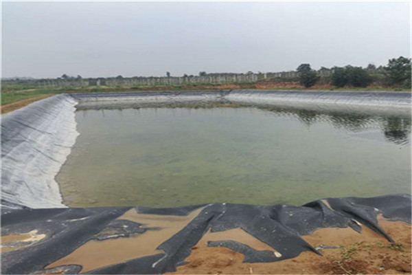 防滲土工膜在水產養殖的科學原理